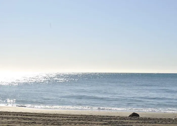Apartamento Frente Al Mar,Primera Linea De Playa